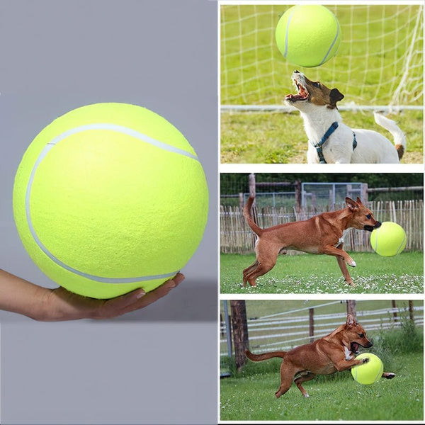 BallBounce - Speelse huisdieren, gezonde harten - Jumplein