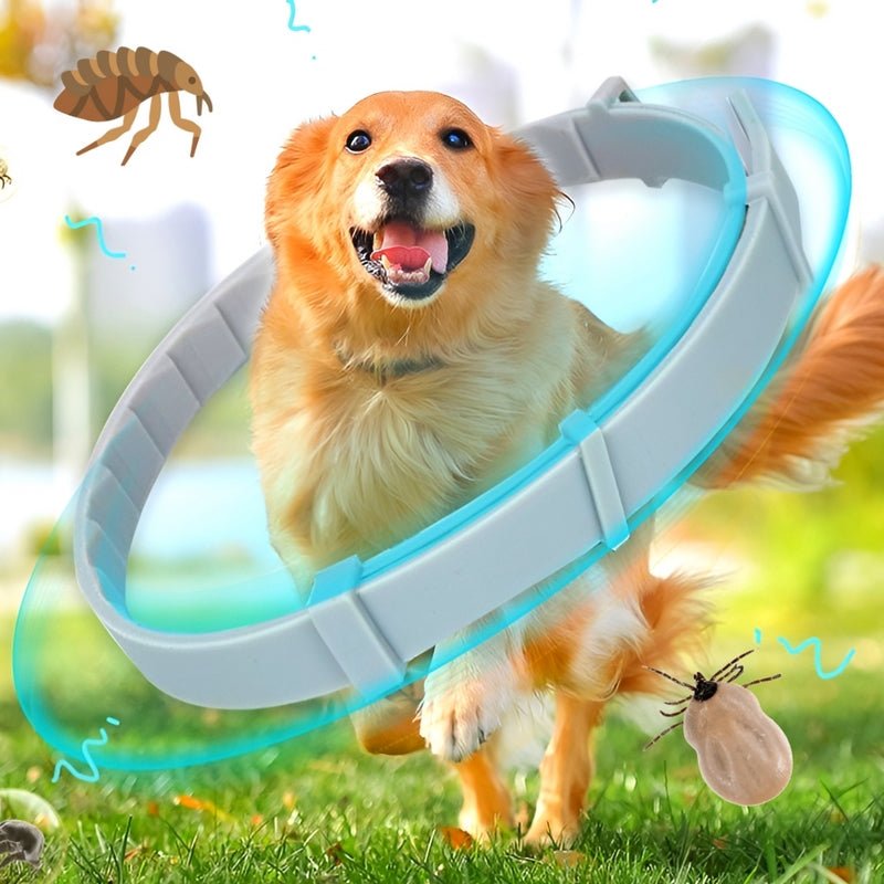 BugBlock™ - Bescherm je huisdier tegen vlooien en teken - Jumplein