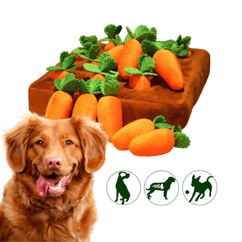 CarrotFarm™ - Hondenspeelgoed - Jumplein