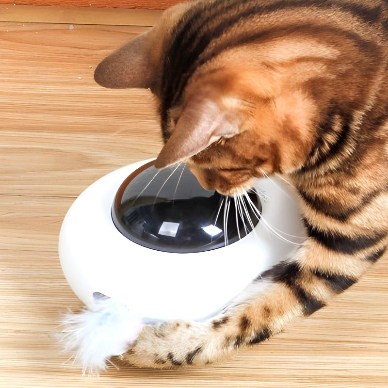 Cat-UFO™ - Versterkt plezier en vermindert verveling voor katten! - Jumplein