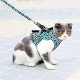 MeowSecure - Ultieme veiligheid & stijl voor katten - Jumplein